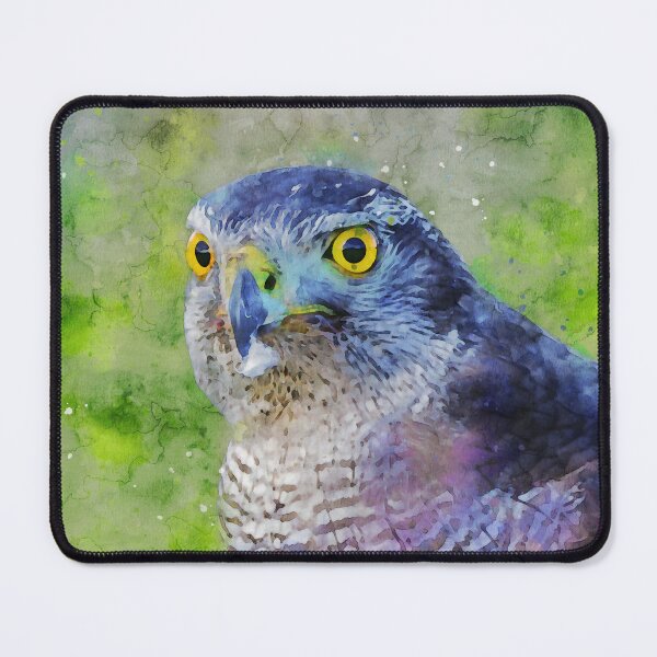 Item preview, Close up view of a sparrowhawk designed and sold by Dolfilms.