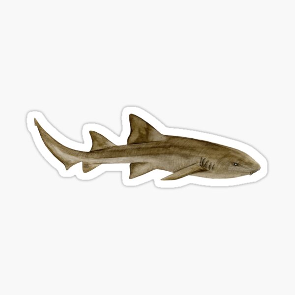 Item preview, NURSE SHARK-Ginglymostoma cirratum designed and sold by BEATRIZ ABAITUA.