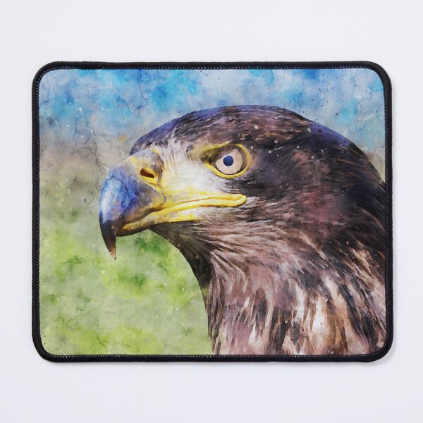 Item preview, Side view of an immature American bald eagle designed and sold by Dolfilms.