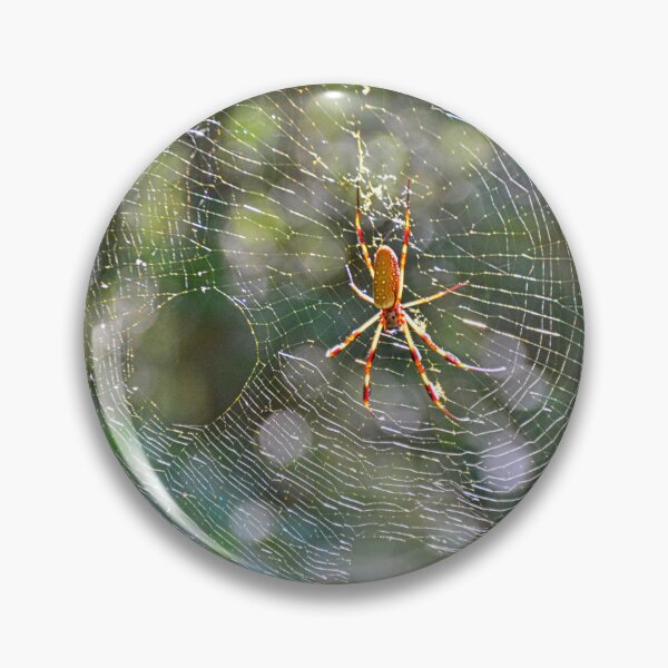 Item preview, Golden Orb-Weaver Spider designed and sold by LisaWootenPhoto.