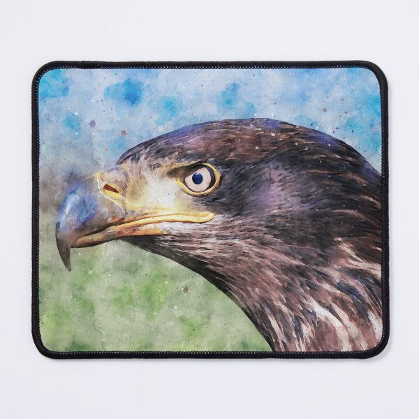 Item preview, Side view of an immature American bald eagle designed and sold by Dolfilms.