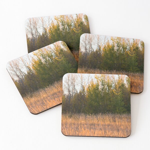 Item preview, Sunrise light in the fall designed and sold by CanadianWild418.