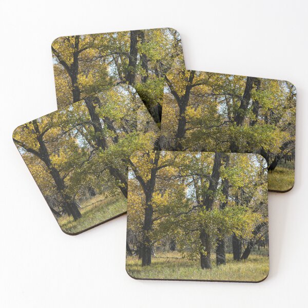 Item preview, Fall walk in the park designed and sold by CanadianWild418.