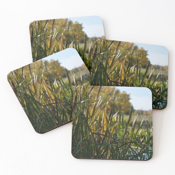 Item preview, Fall by the pond designed and sold by CanadianWild418.