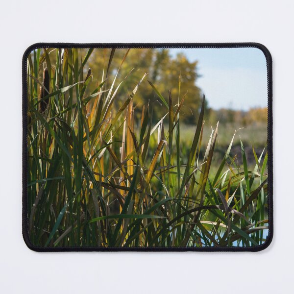Item preview, Fall by the pond designed and sold by CanadianWild418.