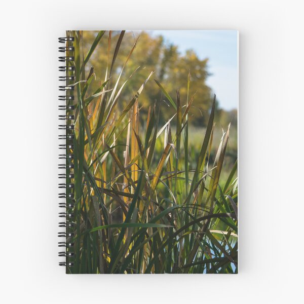 Item preview, Fall by the pond designed and sold by CanadianWild418.