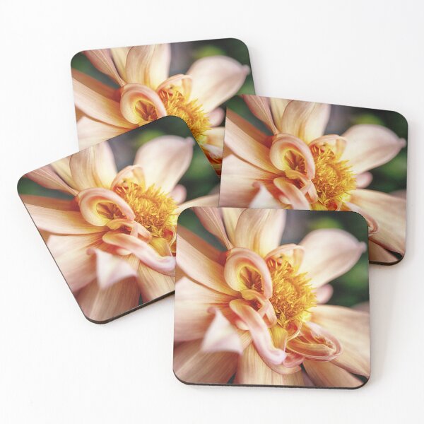 Item preview, Beautiful Peach and Yellow Coloured Dahlia Flower designed and sold by PhotoPrincess.