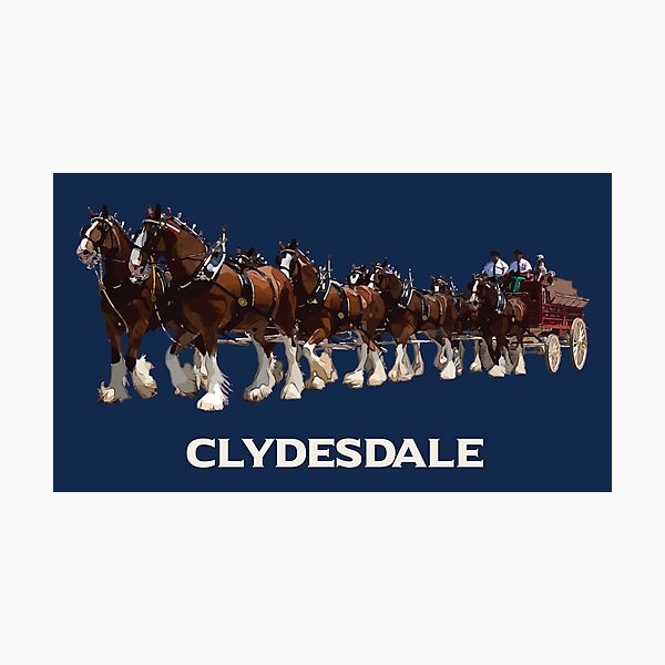 Aperçu de l'œuvre Attelage pour cheval Clydesdale créée et vendue par Canteric.