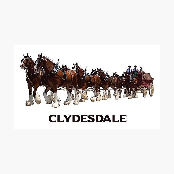 Aperçu de l'œuvre Attelage pour cheval Clydesdale créée et vendue par Canteric.
