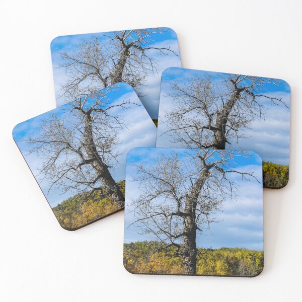 Item preview, Old oak tree designed and sold by CanadianWild418.