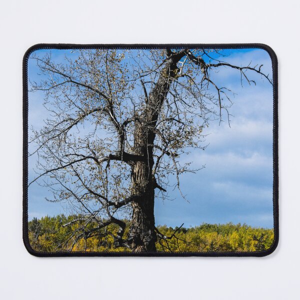 Item preview, Old oak tree designed and sold by CanadianWild418.
