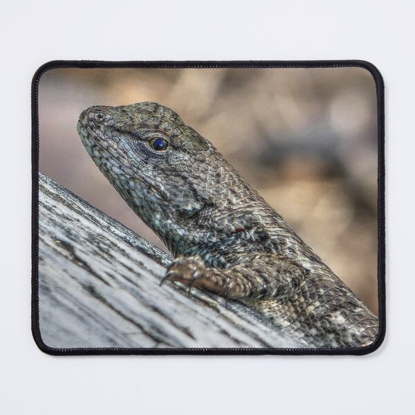 Item preview, Prairie Lizard designed and sold by Frankie Cat Photography.