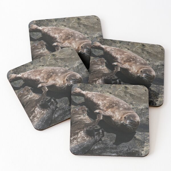 Item preview, Seals Playing! designed and sold by heatherfriedman.