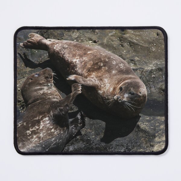 Item preview, Seals Playing! designed and sold by heatherfriedman.