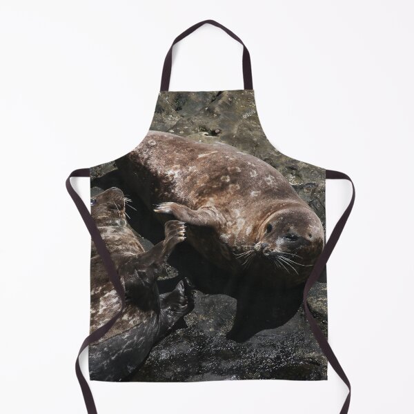 Item preview, Seals Playing! designed and sold by heatherfriedman.