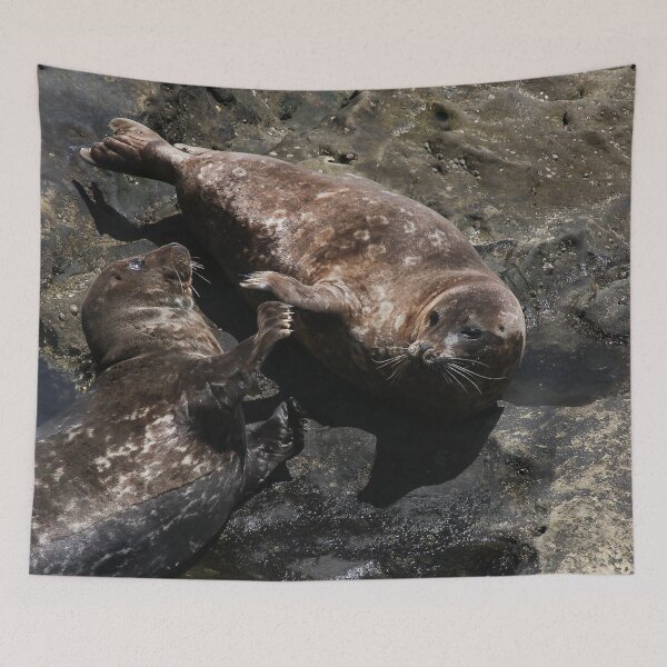 Item preview, Seals Playing! designed and sold by heatherfriedman.