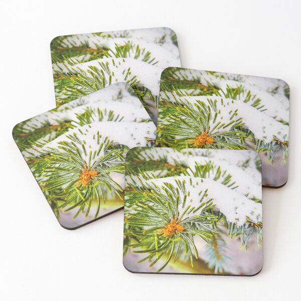Item preview, Snowy Rocky Mountain Spruce Photo designed and sold by FloresInColor1.