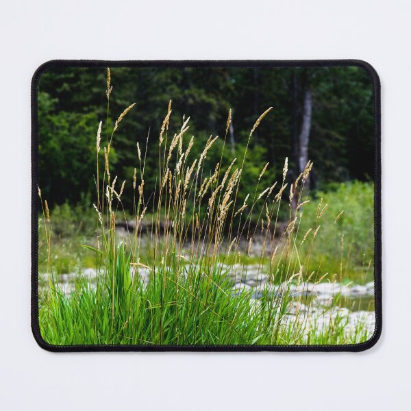 Item preview, Late summer scenery designed and sold by CanadianWild418.