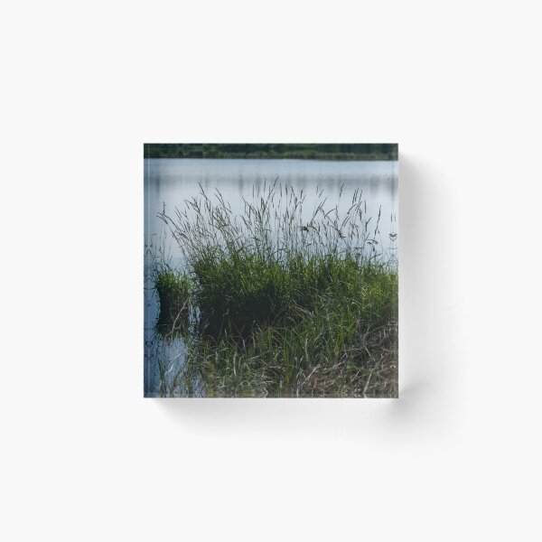 Item preview, Soft water scene designed and sold by CanadianWild418.