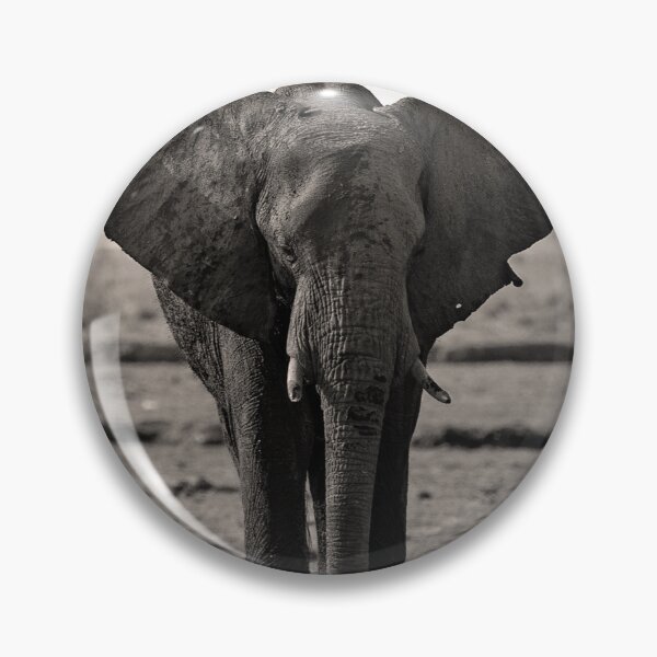 Item preview, Elephant on Safari designed and sold by Linda Peterson.