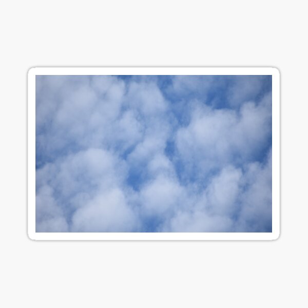 Item preview, Soft and Fluffy  designed and sold by Tonia Delozier's Photography .