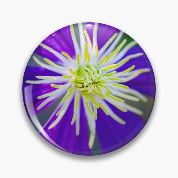 Item preview, Purple Clematis Not Shy X103 designed and sold by RichFrancoCars.