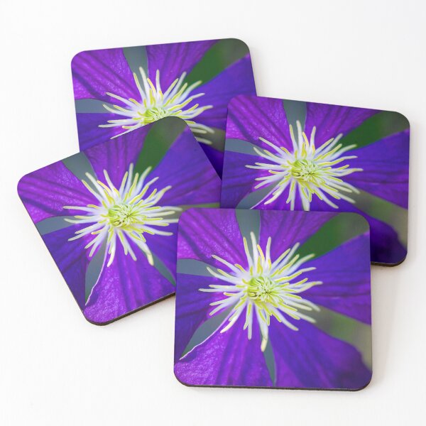Item preview, Purple Clematis Not Shy X103 designed and sold by RichFrancoCars.