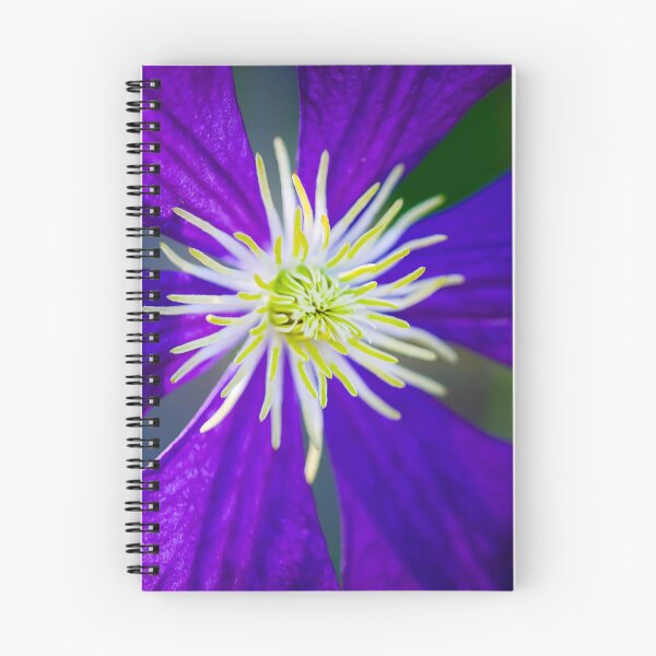 Item preview, Purple Clematis Not Shy X103 designed and sold by RichFrancoCars.