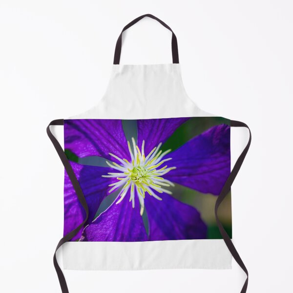 Item preview, Purple Clematis Not Shy X103 designed and sold by RichFrancoCars.