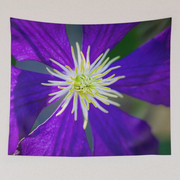 Item preview, Purple Clematis Not Shy X103 designed and sold by RichFrancoCars.