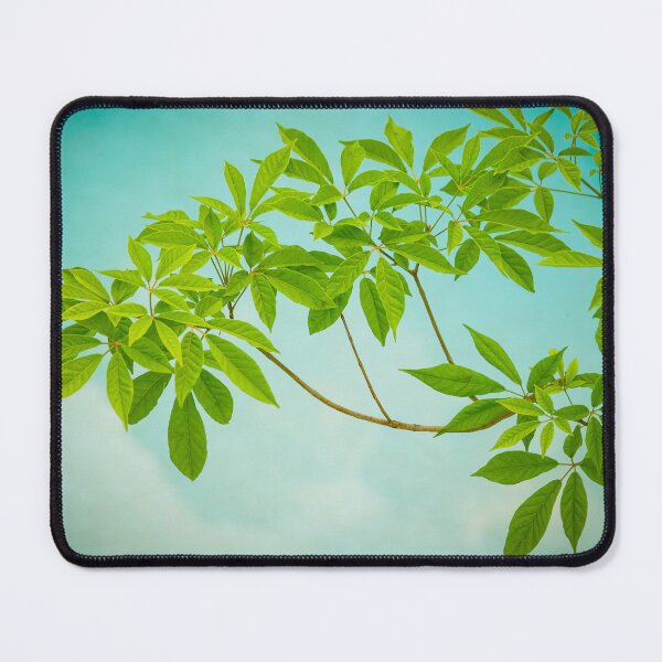 Item preview,  Tabebuia Green Leaves over Water X102 designed and sold by RichFrancoCars.