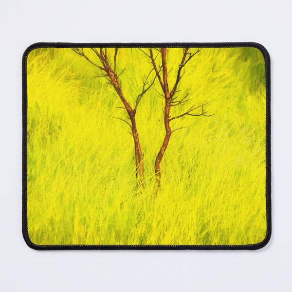 Item preview, Burnt Tree Green Grass Merritt Island National Wildlife Refuge X100 designed and sold by RichFrancoCars.