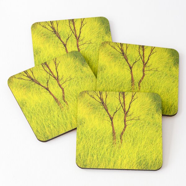 Item preview, Burnt Tree Green Grass Merritt Island National Wildlife Refuge X102 designed and sold by RichFrancoCars.