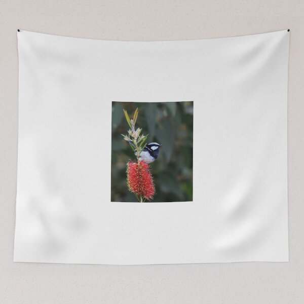 Item preview, Blue wren on Bottle brush designed and sold by robmac.