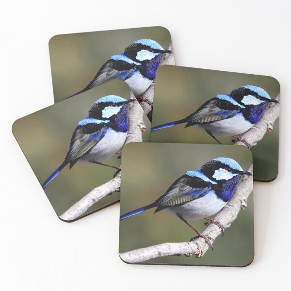 Item preview, Male Fairy wren designed and sold by robmac.