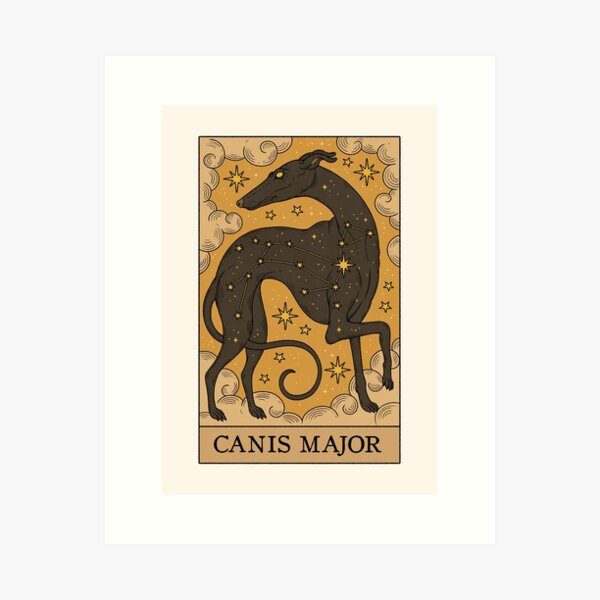 Item preview, Canis Major designed and sold by Thiago Corrêa.