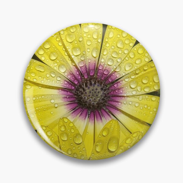 Item preview, African Daisy "Blue Eyed Beauty" designed and sold by DesignsbyRandR.