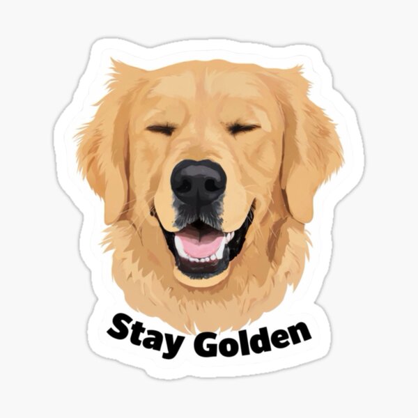 Artikel-Vorschau von Bleib Golden Retriever Sticker, designt und verkauft von Willowdoodlesuk.