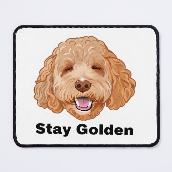 Item preview, Stay Golden Cavapoo Sticker designed and sold by Willowdoodlesuk.