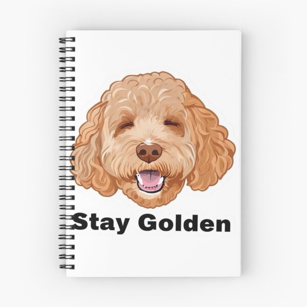 Item preview, Stay Golden Cavapoo Sticker designed and sold by Willowdoodlesuk.