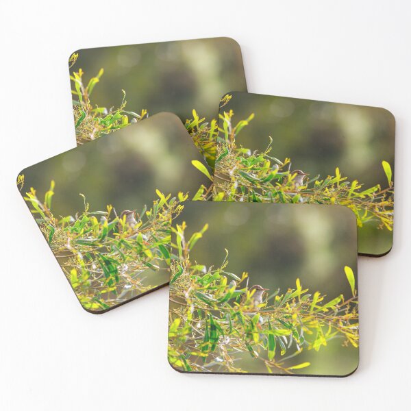 Item preview, Hidden Songbird Among Leaves designed and sold by AvianAdventures.