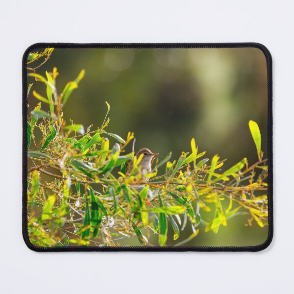 Item preview, Hidden Songbird Among Leaves designed and sold by AvianAdventures.