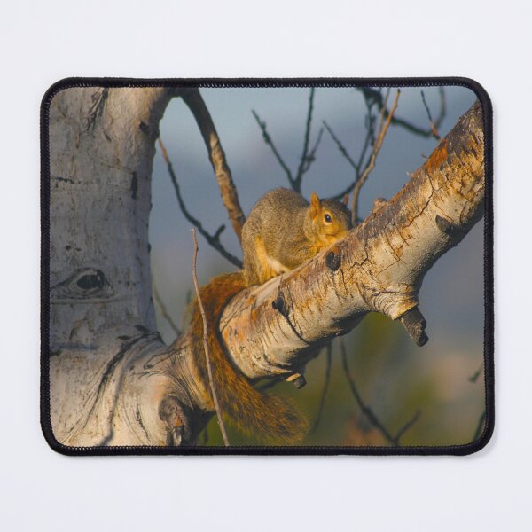 Item preview, Hide & Seek with Mr. Squirrel designed and sold by KoalaTeaPhotogr.