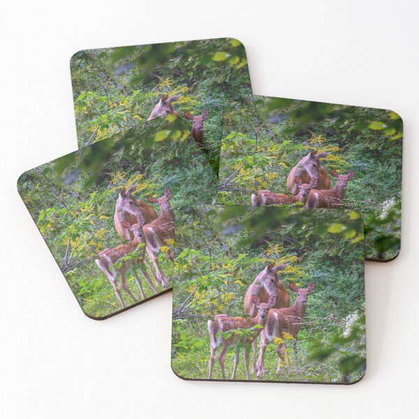 Item preview, Mother Doe and her Twin Fawns designed and sold by Imalairdphotos.
