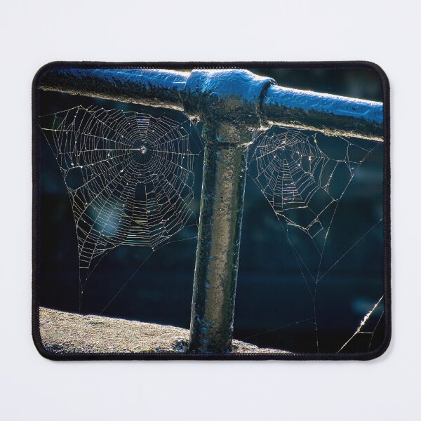 Item preview, Spooky Spider Webs designed and sold by Imalairdphotos.