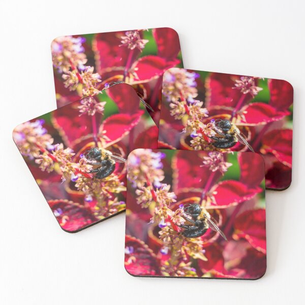 Item preview, "Summertime Lunch" A closeup of a Bee feeds on a flower on a nice warm summer day (Photograph) designed and sold by RealmOfImages.