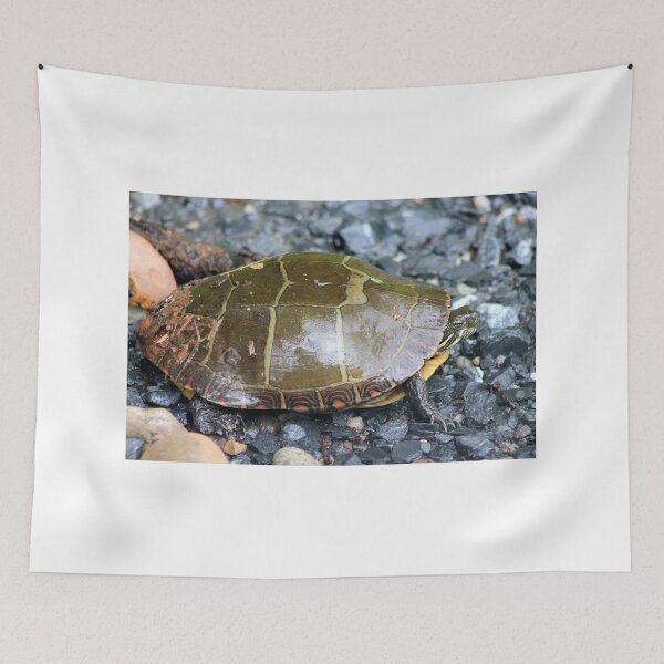 Item preview, Tortoise designed and sold by Valeria Lee.