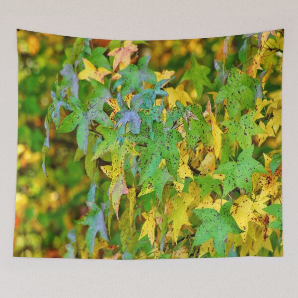 Item preview, Colorful autumn leaves  designed and sold by InezPhotography.