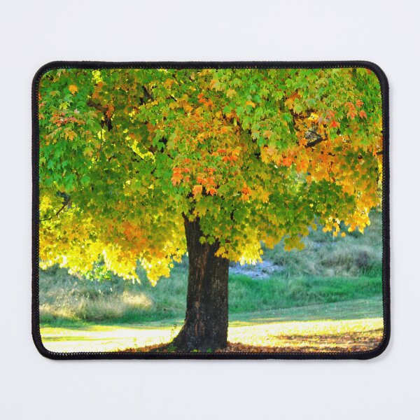 Item preview, Autumn large tree designed and sold by InezPhotography.