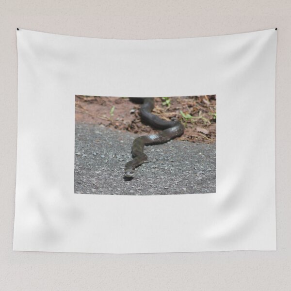 Item preview, Black Snake designed and sold by Valeria Lee.
